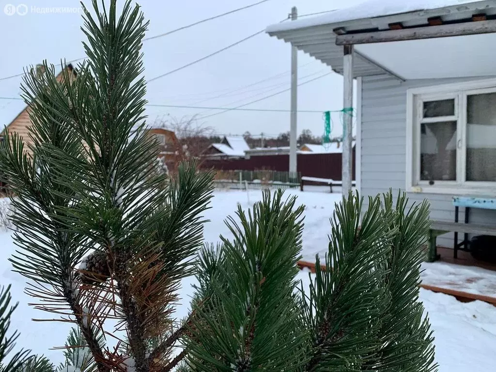 Дом в Иркутский муниципальный округ, СНТ Химик, 105 (25 м) - Фото 1