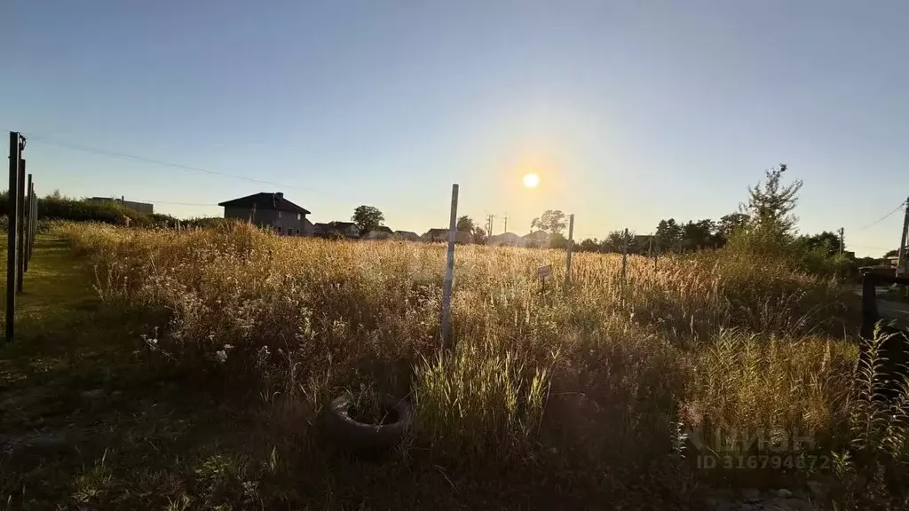 Участок в Калининградская область, Гурьевский муниципальный округ, ... - Фото 1