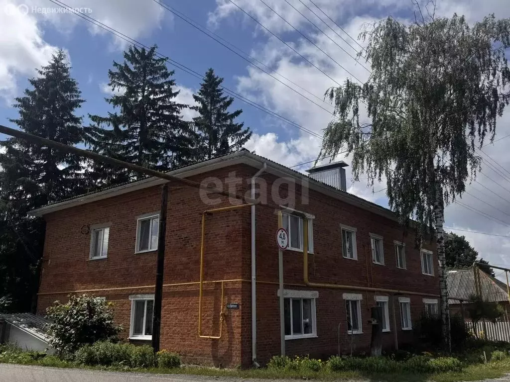 3-комнатная квартира: Белгородская область, рабочий посёлок Борисовка, ... - Фото 2