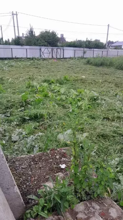 Участок в Московская область, Солнечногорск городской округ, д. ... - Фото 1