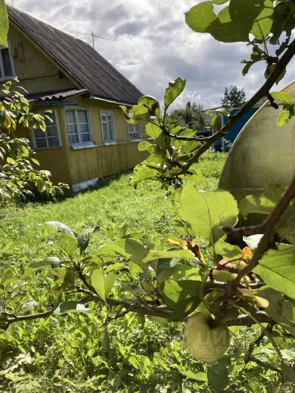 Дом в Ленинградская область, Гатчинский муниципальный округ, Кобрино ... - Фото 2