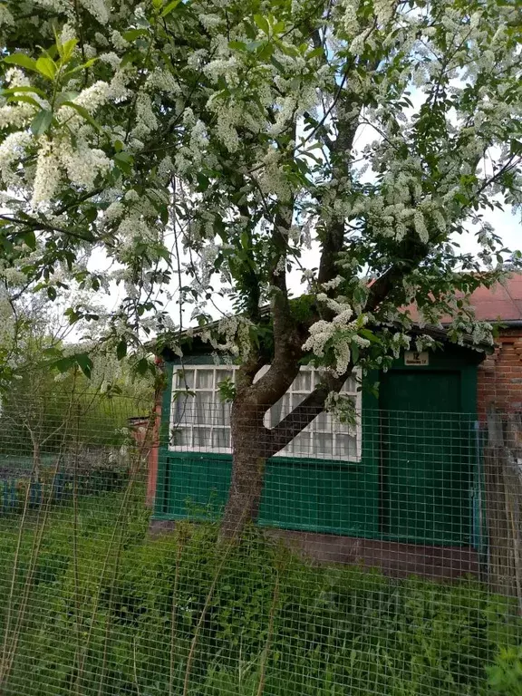 Участок в Воронежская область, Новоусманский район, Орловское с/пос, ... - Фото 1