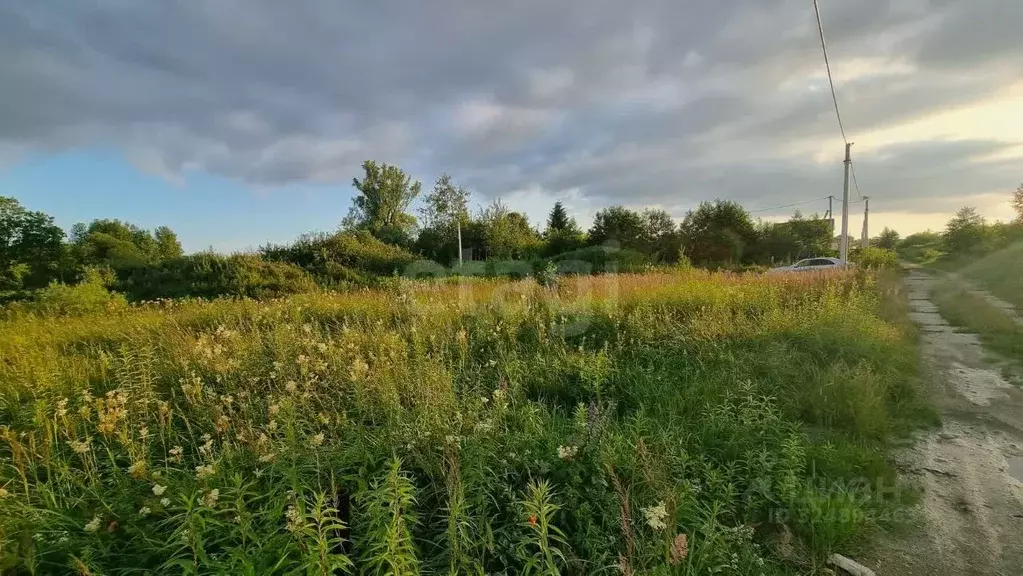 Участок в Калининградская область, Гурьевский муниципальный округ, ... - Фото 2