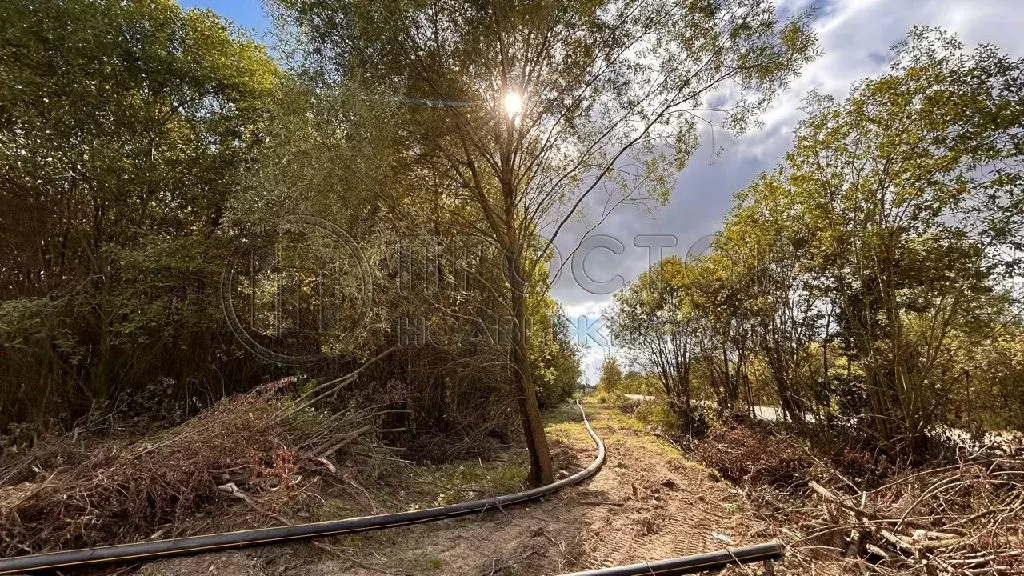 Продается участок в пос. Большевик - Фото 1