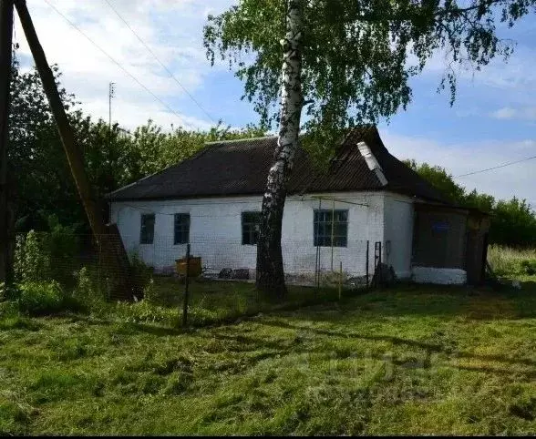Дом в Липецкая область, Воловский муниципальный округ, д. Куликовка ... - Фото 1