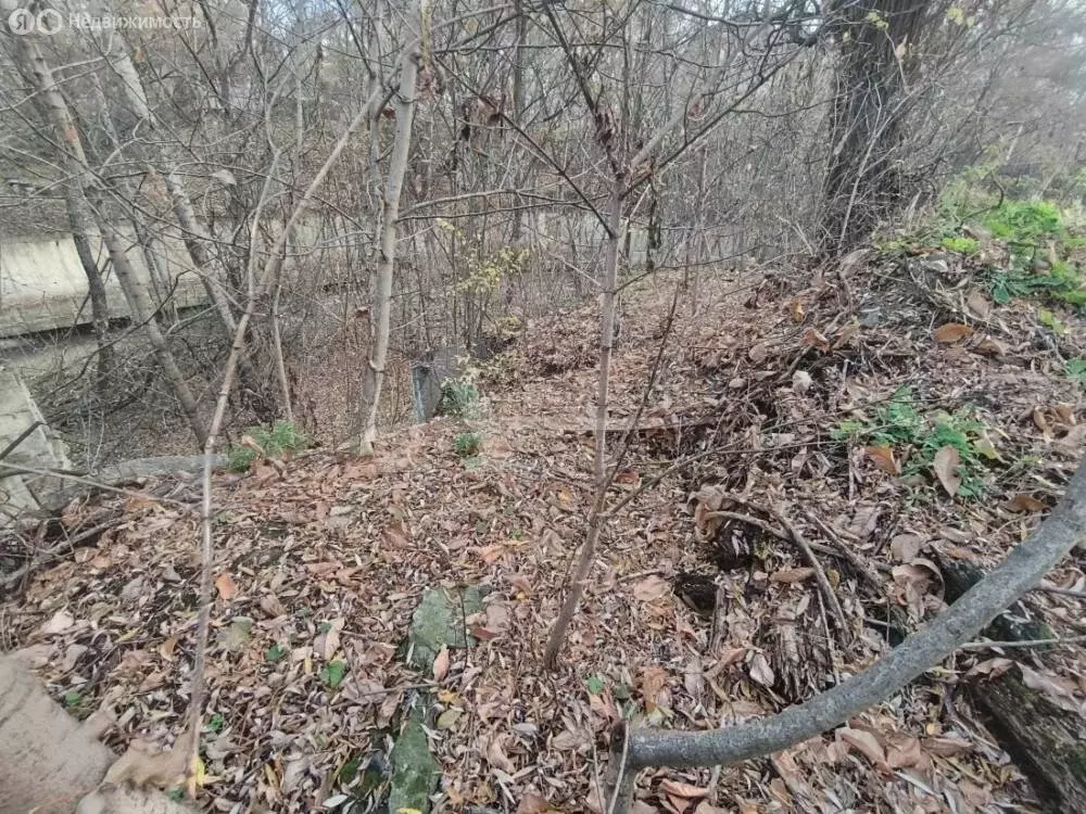 Участок в Кисловодск, Набережная улица (10 м) - Фото 2