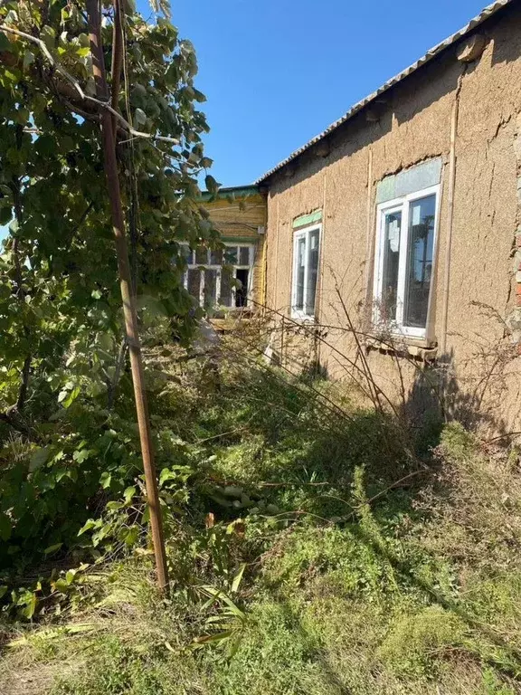 Дом 68,4 м на участке 51 сот. - Фото 1