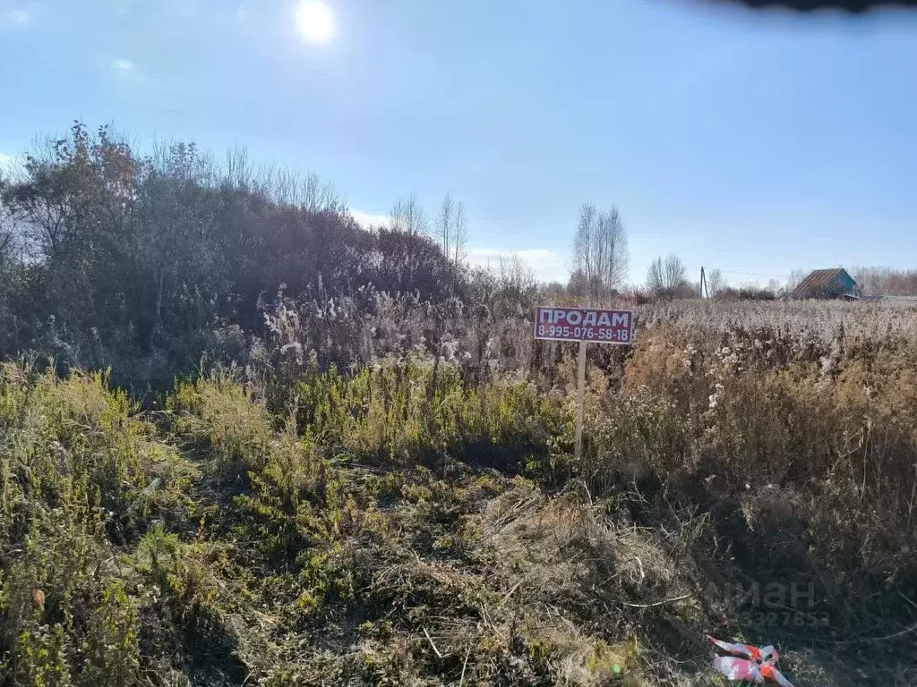 Участок в Красноярский край, Емельяновский муниципальный округ, ... - Фото 1