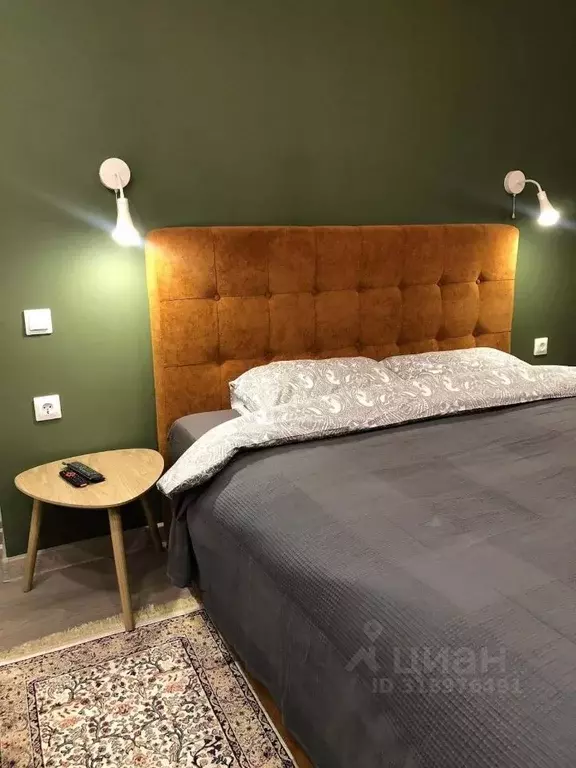 1-к кв. Санкт-Петербург 7-я Советская ул., 16 (28.0 м) - Фото 0