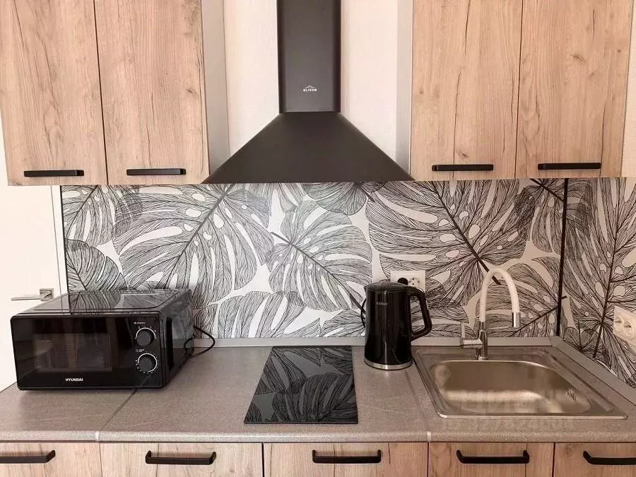 Студия Санкт-Петербург ул. Пахомовская, 12к2 (21.0 м) - Фото 2