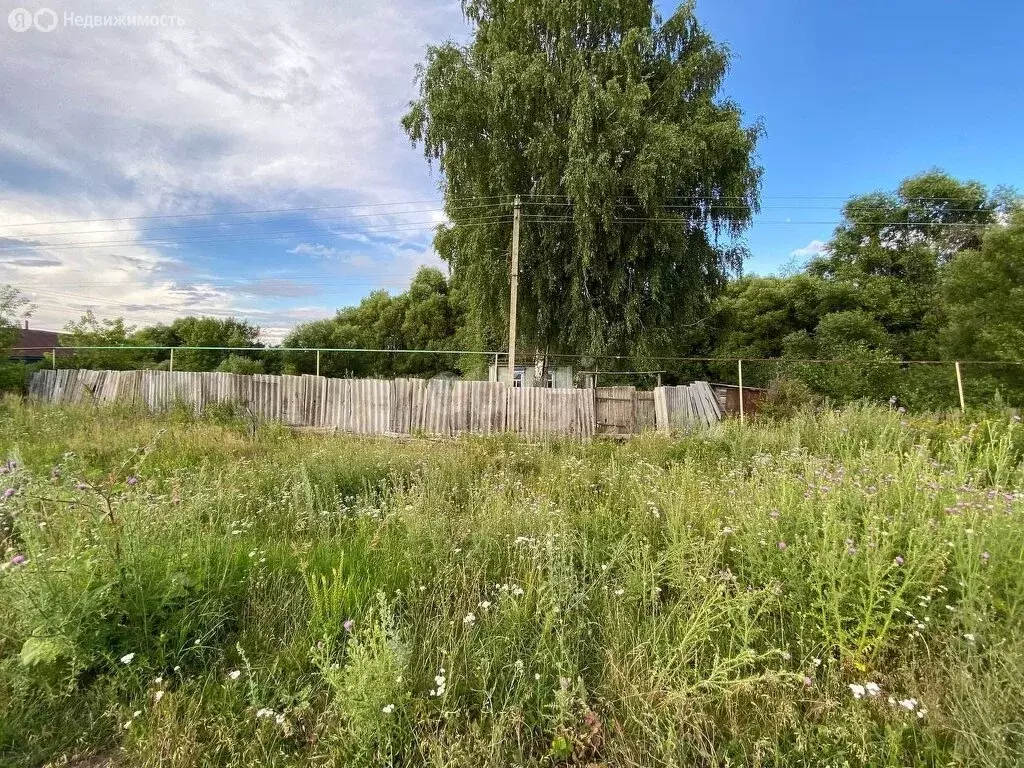 Дом в Пензенский район, Богословский сельсовет, село Васильевка (35 м) - Фото 1