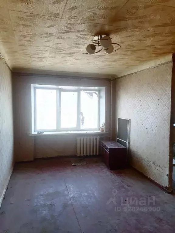 1-к кв. Волгоградская область, Камышин ул. Ленина, 20 (32.0 м) - Фото 2