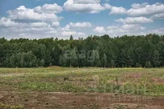 Участок в Костромская область, Нерехта Солнечная ул. (5.3 сот.) - Фото 2