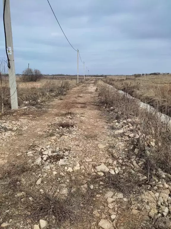 Участок в Новгородская область, Новгородский район, Ракомское с/пос, ... - Фото 1