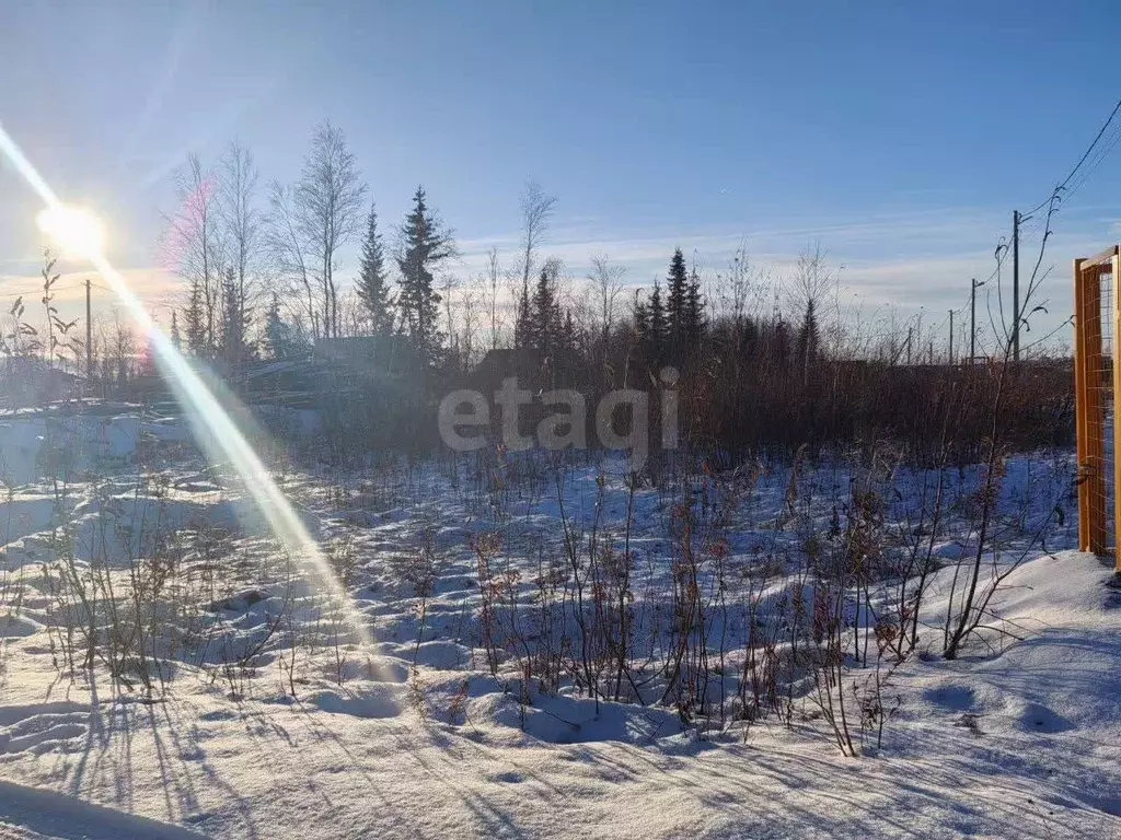 Участок в Ямало-Ненецкий АО, Салехард Радужный мкр, ул. Александра ... - Фото 2