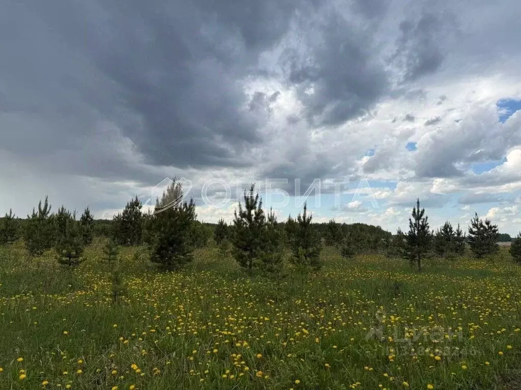 Участок в Тюменская область, Тюменский район, с. Горьковка Сибирская ... - Фото 0