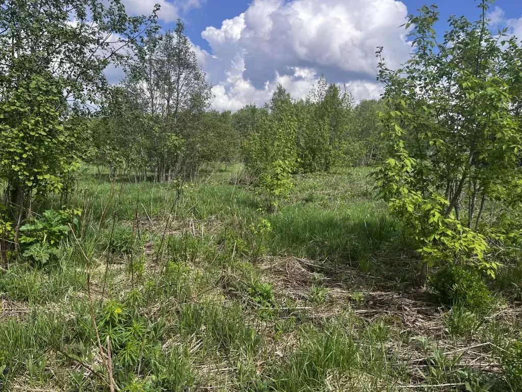 Участок в Московская область, Клин городской округ, д. Елгозино  ... - Фото 2