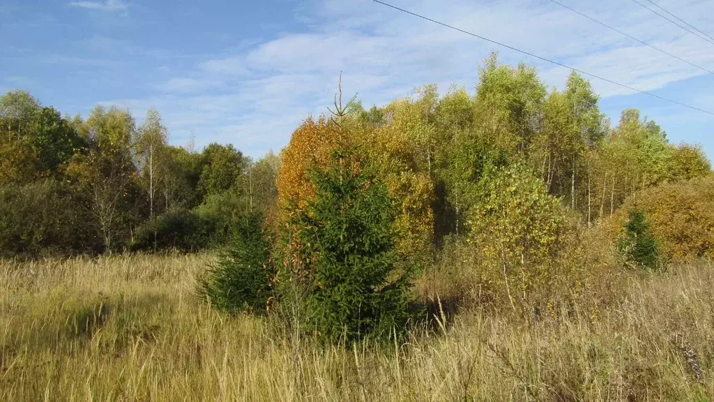Участок в Московская область, Рузский муниципальный округ, д. Глухово  ... - Фото 2