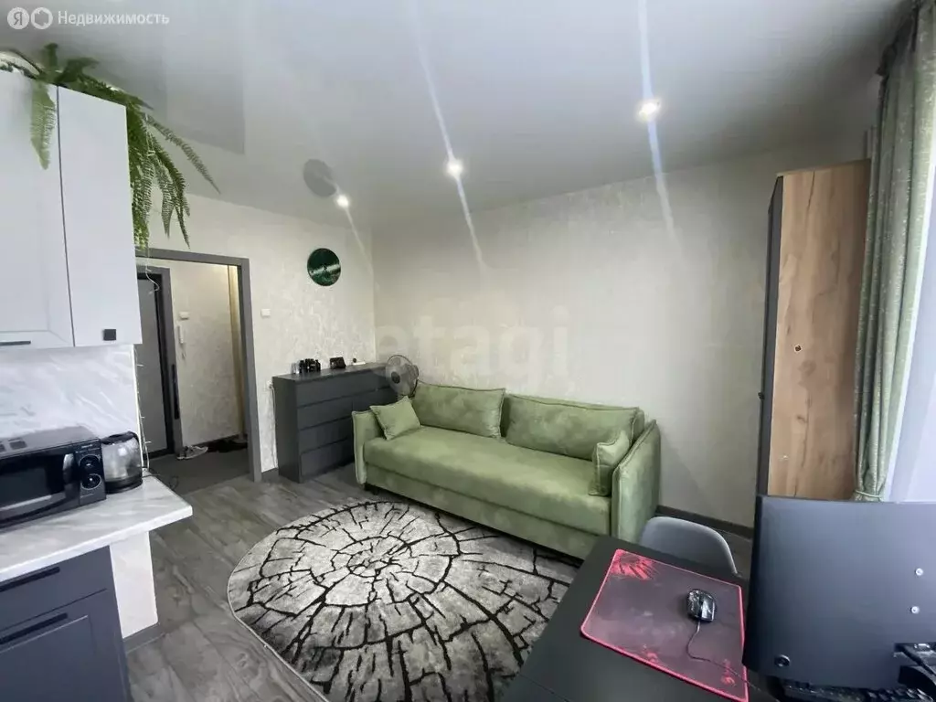 Квартира-студия: Челябинск, улица Профессора Благих, 63А (24 м) - Фото 2