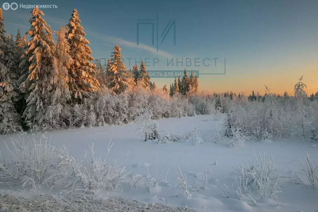 Участок в Свердловская область, муниципальный округ Ревда, село ... - Фото 1