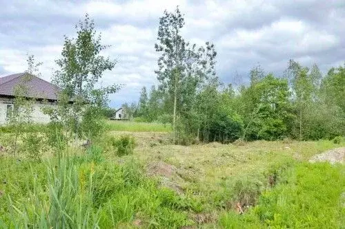 Участок в Новгородская область, Новгородский район, Ермолинское с/пос, ... - Фото 2