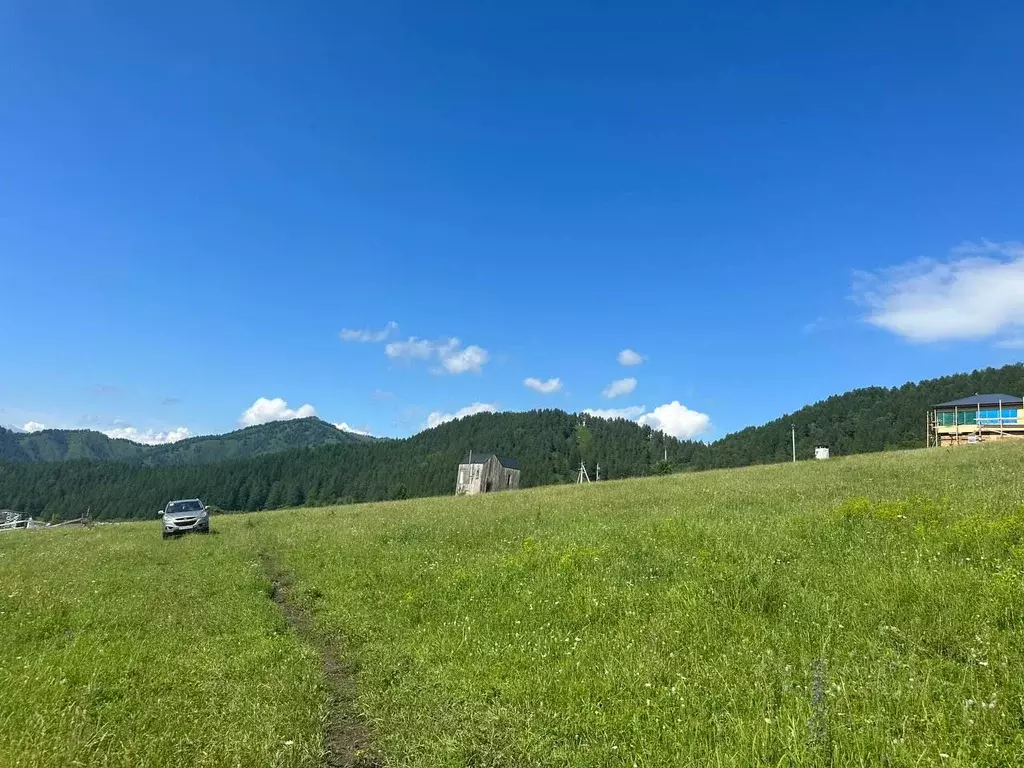 Участок в Алтай, Чемальский район, Элекмонарское с/пос  (20.0 сот.) - Фото 1
