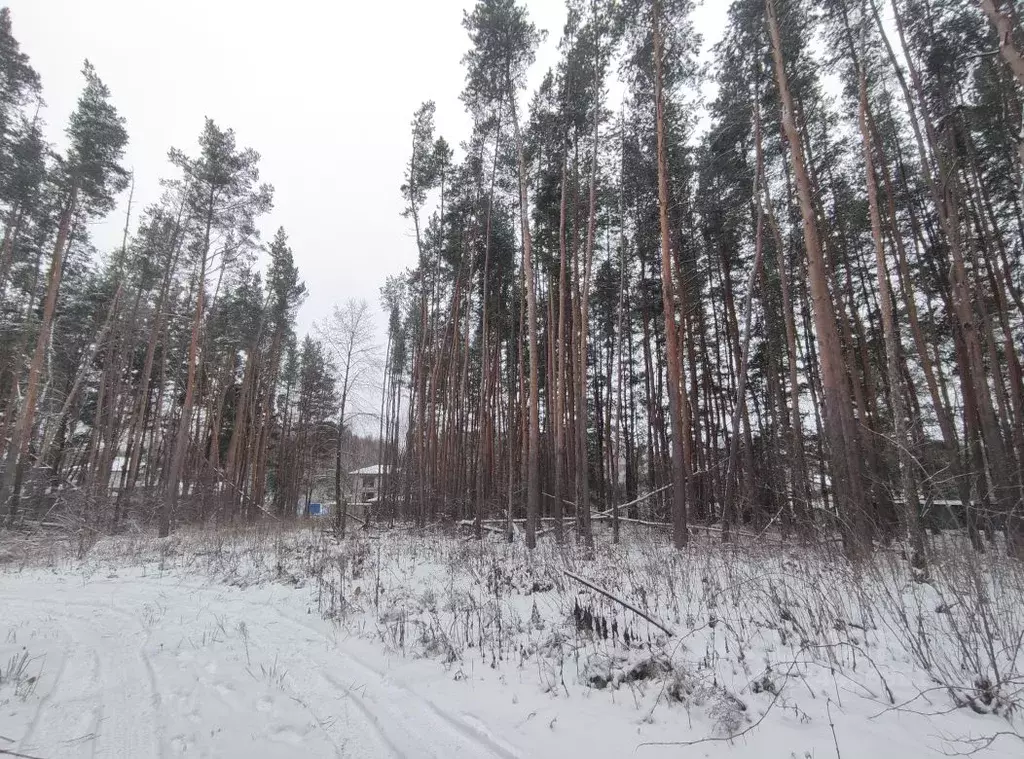 Участок в Татарстан, Лаишевский район, Песчано-Ковалинское с/пос, д. ... - Фото 2