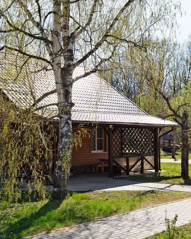 Дом в Воронежская область, с. Новая Усмань  (67 м) - Фото 0