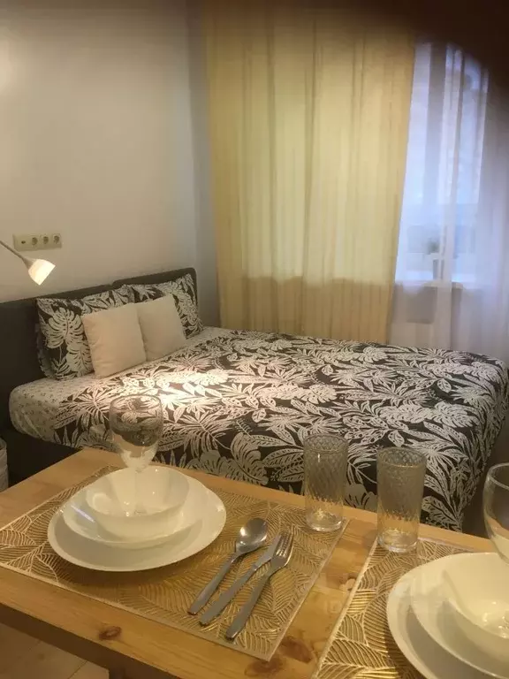 Студия Московская область, Солнечногорск Ленинградская ул., 20 (18.0 ... - Фото 1