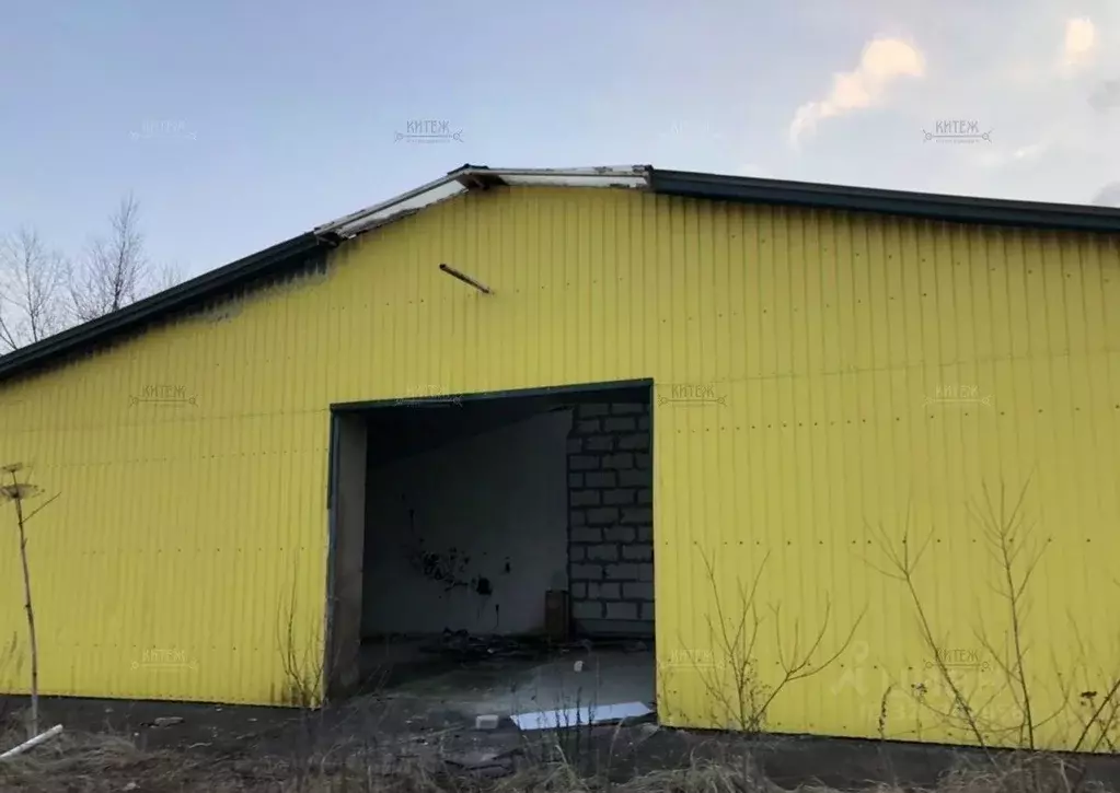 Помещение свободного назначения в Калужская область, Мещовск городское ... - Фото 2