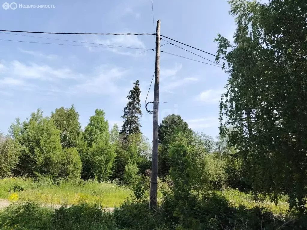 Участок в Томский район, деревня Кандинка (12.4 м) - Фото 0