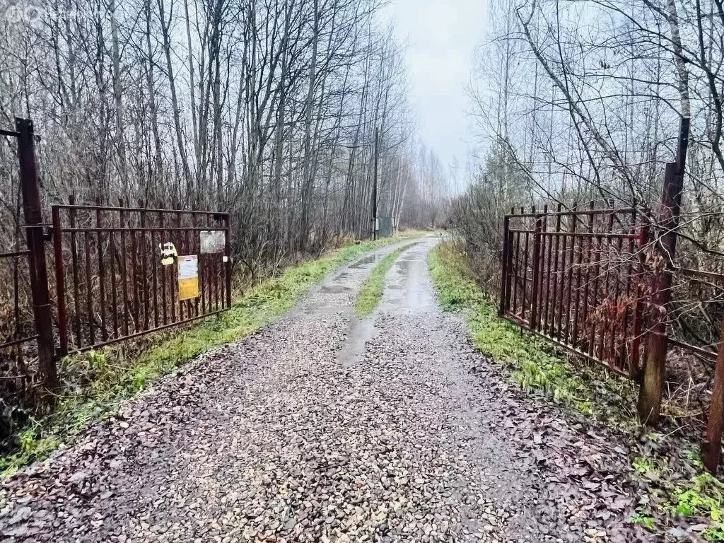 Участок в Костромской район, Бакшеевское сельское поселение, СТ ... - Фото 1