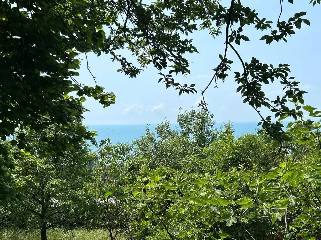 Участок в Краснодарский край, Сочи Лазаревское жилрайон, ул. Моряков, ... - Фото 1
