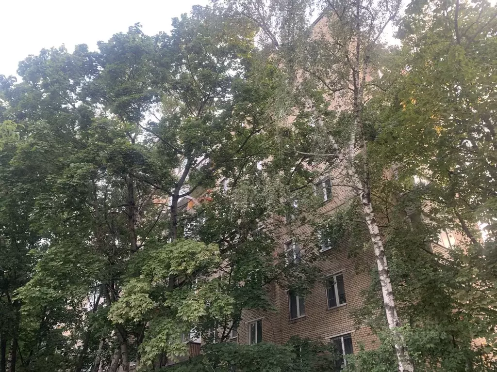 Студия Москва Свободный просп., 37/18 (11.0 м) - Фото 1