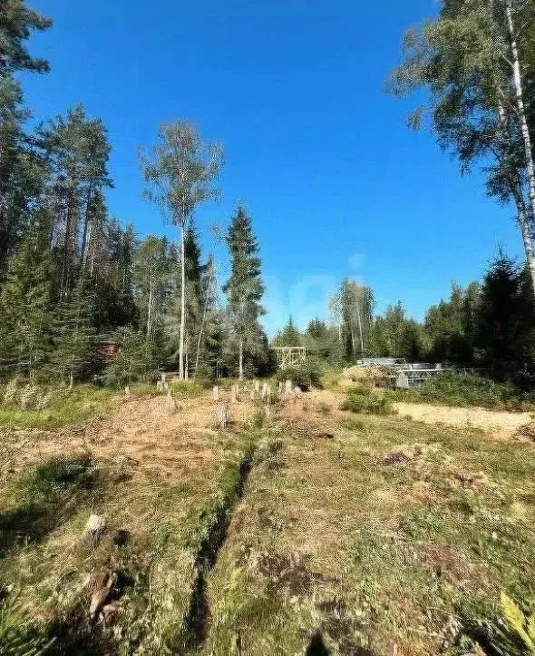 Участок в Ленинградская область, Всеволожский район, Юкковское с/пос, ... - Фото 1