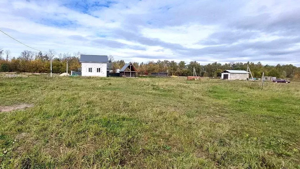 Участок в Нижегородская область, Богородский муниципальный округ, д. ... - Фото 2