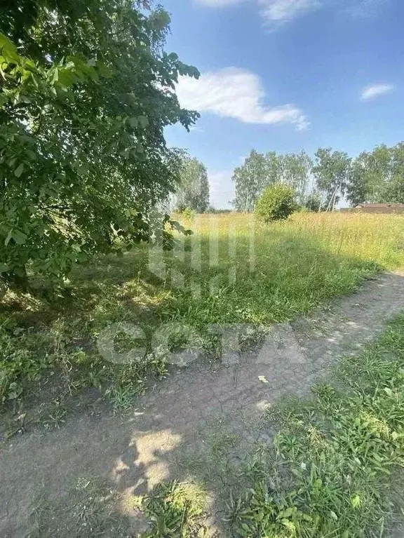 Участок в Воронежская область, с. Новая Усмань ул. Белгородская, 35 ... - Фото 2