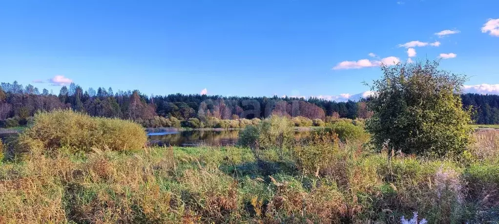 Участок в Псковская область, Псковский муниципальный округ, д. ... - Фото 1