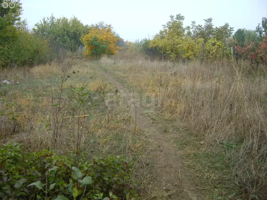 Участок в Феодосия, Казацкий переулок, 9 (9.66 м) - Фото 2