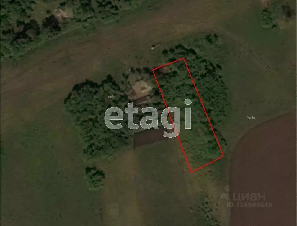 Участок в Белгородская область, Корочанский район, Плосковское с/пос, ... - Фото 1