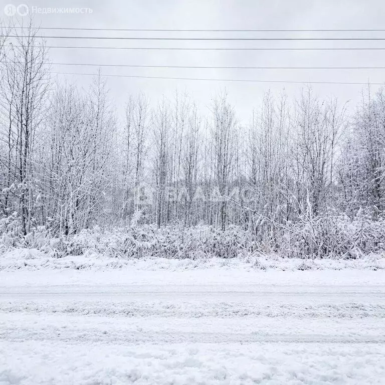 Участок в Агалатовское сельское поселение, садоводческое ... - Фото 1