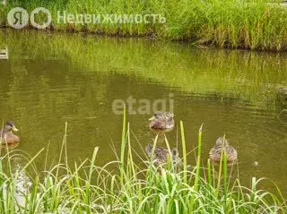 Участок в Плотниковский сельсовет, микрорайон Уютный, Альпийская улица ... - Фото 1
