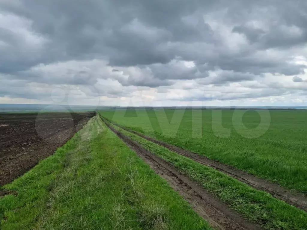 Участок 49 га (СНТ, ДНП) - Фото 0