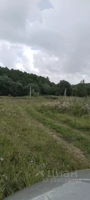 Участок в Чувашия, Чебоксарский муниципальный округ, Большекатрасьское ... - Фото 0