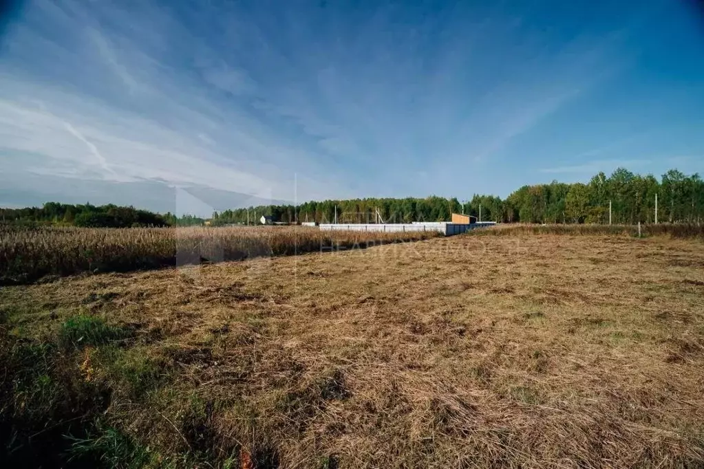 Участок в Тюменская область, Тюменский муниципальный округ, с. Кулига ... - Фото 1