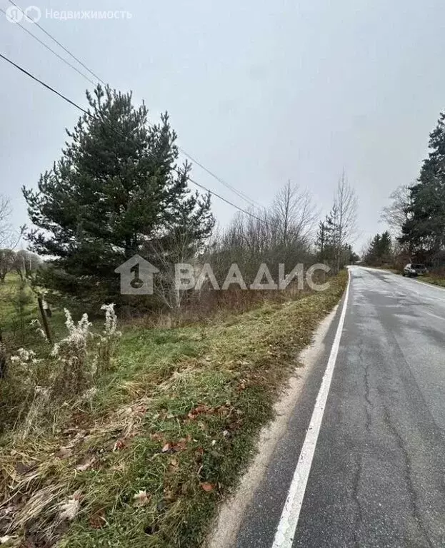 Участок в Приозерский район, Плодовское сельское поселение, посёлок ... - Фото 2