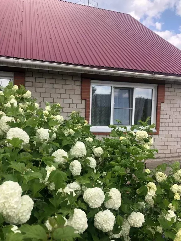 Дом в Алтайский край, Барнаул городской округ, пос. Черницк ул. ... - Фото 0