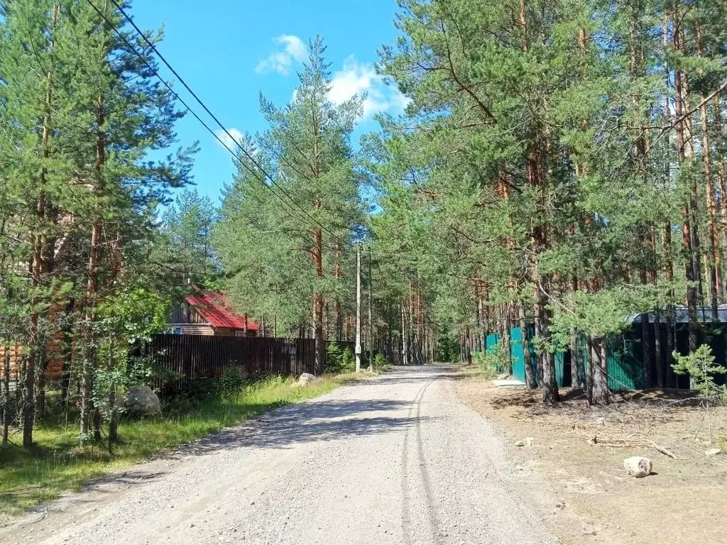 Участок в Ленинградская область, Выборгский район, Красносельское ... - Фото 1