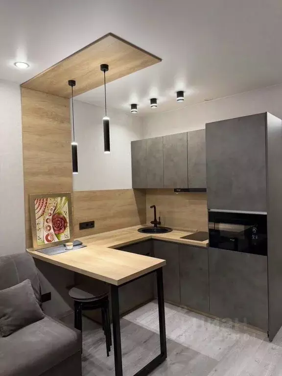 Студия Новосибирская область, Новосибирск Железнодорожная ул., 15/1 ... - Фото 1