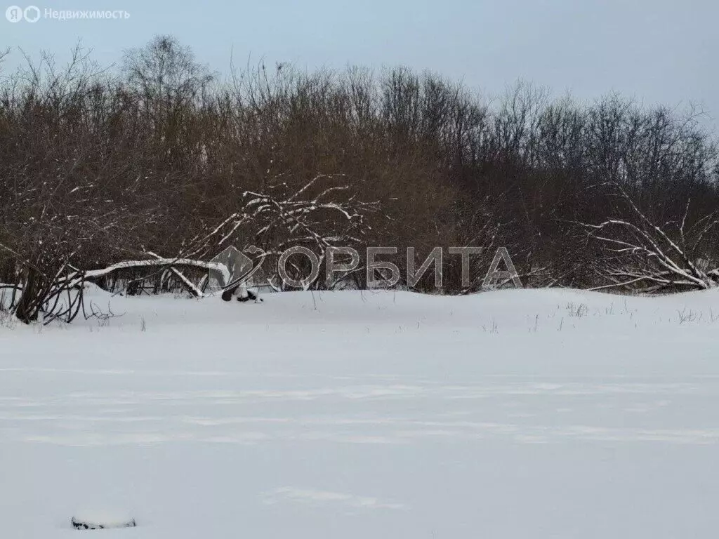 Участок в Тюмень, садовое товарищество Рябинка-2 (10.16 м) - Фото 2